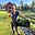 Michelle Aronson's avatar