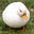 a duck's avatar