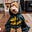 Kevin Rafter's avatar