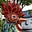 kitschnsync's avatar