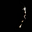 Todd Morten's avatar