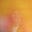 TinyDancer's avatar