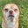 Mary @ Substack's avatar