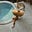 Reida's avatar