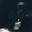 Denis's avatar