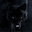 KAREN FROST's avatar