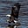 JMF's avatar