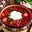 Borscht Nazi's avatar