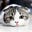 AW's avatar