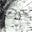 Janet oesterly's avatar