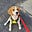 Jack's avatar