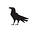 Corvus's avatar