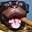Sir Zings a Lot's avatar