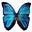 asmara's avatar