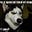 Scott Burbidge's avatar
