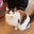 ForestCat's avatar
