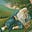 Catskill Mountain Man's avatar