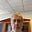 David Affeld's avatar