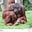 Philip Thomson's avatar