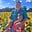 Bob Holmes's avatar
