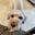 The Lubke Family's avatar