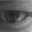 Shannon Magnuson's avatar