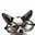 Diana Brewster's avatar