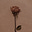 Imisioluwa's avatar