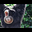 frogmonkee's avatar