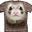tehwereferret's avatar