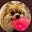 Mike S's avatar
