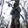 Lone Gunman's avatar