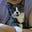Chessie's avatar