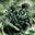 GreenKnight's avatar