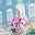 Dana Letvin's avatar