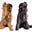 DogRelations NYC blog treats's avatar