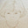 AZ's avatar