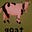 Daniel Gray's avatar