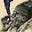 Terrenz ILL (Responsible Ape)'s avatar