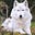 LoneWolf's avatar