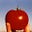Fred Hoffman's avatar
