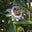 Ryan Plant's avatar