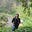 Shubham's avatar