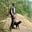 John Smillie's avatar