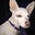 Linda Judy's avatar