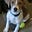 GeekDogWes's avatar