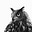 Modern Analects's avatar
