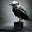 The Raspy Raven's avatar