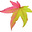 Sweetgum State's avatar