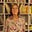 Charlotte Mason's avatar
